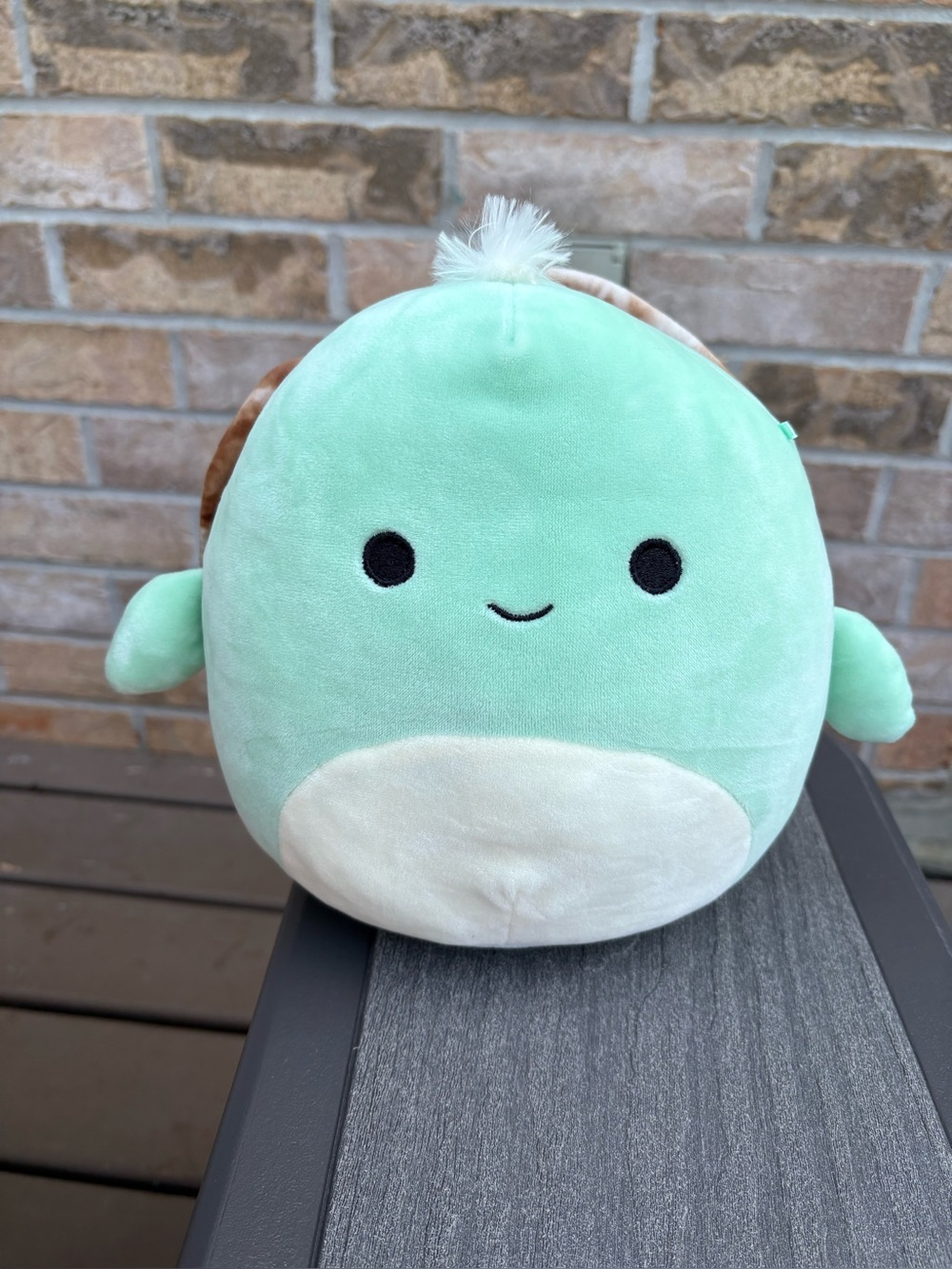 Squishmallows 8” Antonio the Turtle Plush